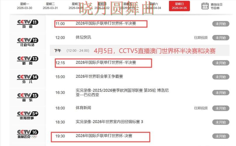 世界杯投注平台推荐深度评测合集：覆盖数据分析+直播与入口方式 - 世界杯直播